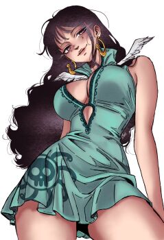 1girl black_hair blue_dress brown_eyes closed_mouth commentary dress earrings english_commentary eris21471224 high_collar highres jewelry kuja_pirates_jolly_roger long_hair one_piece shakuyaku_(one_piece) short_dress signature simple_background smile snake_earrings solo white_background