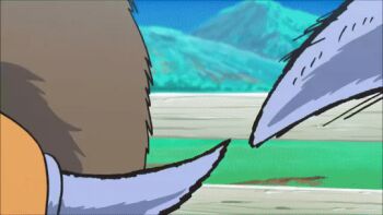 animal animated animated_gif bull cow gen_1_pokemon gen_2_pokemon miltank nintendo pokemon pokemon_(anime) pokemon_(creature) pokemon_sm pokemon_sm_(anime) tauros