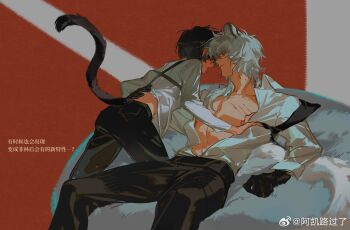 2boys abs akai_999 animal_ears arknights bare_pectorals belt black_belt black_gloves black_hair black_necktie black_pants box boy_on_top cat_ears cat_tail chinese_commentary chinese_text claw_mark clenched_teeth collarbone collared_shirt commentary_request criss-cross_back-straps doctor_(arknights) feet_out_of_frame gloves hair_over_shoulder hand_on_another&#039;s_back highres imminent_bite injury kemonomimi_mode leopard_ears leopard_tail long_hair long_sleeves looking_at_another male_doctor_(arknights) male_focus midriff_peek multiple_boys necktie on_box open_clothes open_mouth open_shirt pants pectorals pocket red_background round_bed shirt short_hair silverash_(arknights) tail teeth translation_request undone_necktie watermark weapon weapon_on_back weibo_watermark white_eyes white_hair white_shirt yaoi
