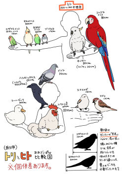 1other animal animal_on_arm animal_on_hand animal_request bird bird_request budgerigar_(bird) chicken commentary_request crow duck java_sparrow long-tailed_tit mattaku_mousuke multiple_views original parakeet parrot pigeon silhouette simple_background tit_(bird) translation_request white_background