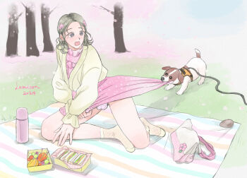 1boy bag black_hair blanket blue_eyes bulge cardigan cherry_blossoms crossdressing crossdressing_(mtf) dog dress embarrassed flaccid flowers_in_hair food fruit handbag lemicon medium_hair original panties park picnic picnic_blanket pink_dress polka_dot polka_dot_dress pulling_another's_clothes purple_panties rock sandwich side_part socks striped_blanket thermos trap underwear yellow_cardigan yellow_socks