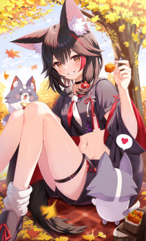 1girl :d absurdres animal_ears black_choker black_hair black_jacket black_shirt black_shorts chicken_(food) choker commentary_request crop_top cropped_shirt cross-laced_slit day double-parted_bangs falling_leaves floral_print food fried_chicken grin hair_between_eyes heart highres holding hololive jacket jacket_partially_removed knees_together_feet_apart knees_up leaf long_sleeves looking_at_viewer loose_socks medium_hair midriff miofa_(ookami_mio) multicolored_hair navel neckerchief official_alternate_costume official_alternate_hairstyle ookami_mio ookami_mio_(another_ookami_mio) open_mouth outdoors print_shirt red_hair red_neckerchief sailor_collar sailor_shirt shirt short_shorts short_sleeves shorts side_slit side_slit_shorts sitting smile socks solo spoken_heart streaked_hair tail thigh_strap togemaru34 two-tone_neckerchief virtual_youtuber white_neckerchief white_sailor_collar white_socks wide_sleeves wolf_ears wolf_girl wolf_tail yellow_eyes