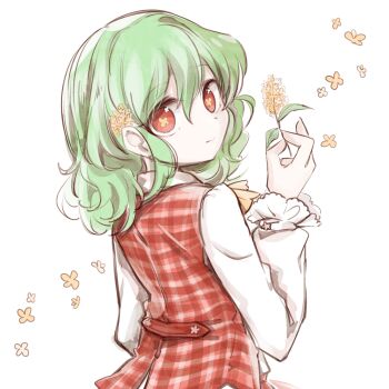 1girl ascot commentary_request flower flower-shaped_pupils frilled_sleeves frills from_behind gold_osmanthus green_hair hair_between_eyes hair_flower hair_ornament holding holding_flower kazami_yuuka long_sleeves looking_back osmanthus plaid_clothes plaid_vest red_eyes red_vest shirt short_hair sidelocks solo symbol-shaped_pupils tama_(hiroshige_36) touhou vest white_background white_shirt yellow_ascot