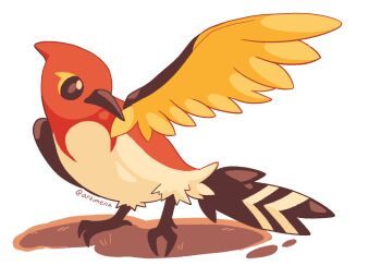 aritimena artist_name beak bird fletchinder full_body gen_6_pokemon highres nintendo no_humans pokemon pokemon_(creature) simple_background solo transparent_background