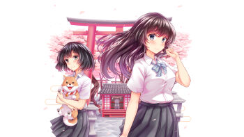 1girl 2girls absurdres animal black_eyes black_hair blush breasts cherry_blossoms cherry_tree dog highres holding holding_animal holding_dog long_hair looking_at_viewer medium_breasts medium_hair multiple_girls original school_uniform shiba_inu shrine skirt smile standing torii uki_(kiw_kiu) white_background
