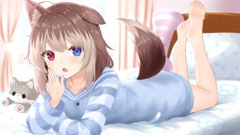1girl :o absurdres animal_ear_fluff animal_ears arm_support barefoot bed blue_eyes bone-shaped_pillow brown_hair curtains dog_ears dog_girl dog_tail fluffy_clothes full_body hasuki_rui heterochromia highres hood hood_down hoodie indie_virtual_youtuber indoors long_sleeves looking_at_viewer loungewear lying medium_hair multicolored_hair on_bed on_stomach open_mouth paashe paw_print pillow red_eyes single_ear_down stuffed_animal stuffed_dog stuffed_toy tail two-tone_hair virtual_youtuber window