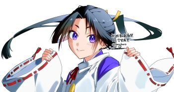 Rule 34 | 1boy, black hair, blush, closed mouth, commentary request, girly boy, highres, houjou tokiyuki (nige jouzu no wakagimi), japanese clothes, kariginu, looking at viewer, male focus, neoshoco, nige jouzu no wakagimi, purple eyes, red sash, sash, short hair with long locks, sidelocks tied back, solo, twitter username, upper body, watermark