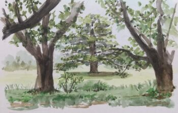 absurdres bush commentary_request day grass harusa1107 highres nature no_humans original painting_(medium) plant scenery sketch traditional_media tree watercolor_(medium)