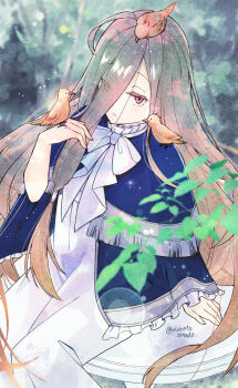 Rule 34 | 1girl, ahoge, animal, animal on head, animal on shoulder, bird, bird on hand, bird on head, bird on shoulder, blue capelet, brown hair, capelet, closed mouth, commentary request, dress, expressionless, eyes visible through hair, frilled capelet, frills, hair between eyes, highres, leaf, long hair, long hair between eyes, looking at viewer, low-tied long hair, muratoamado, on head, orange bird, outdoors, red eyes, sense (sousou no frieren), sitting, solo, sousou no frieren, stille (sousou no frieren), twitter username, very long hair, white dress