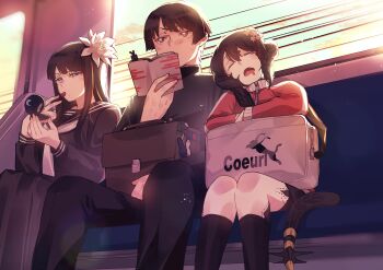 1boy 1girl 1other asahi_sas_brutus au_ra bag black_hair black_horns black_scales black_tail book bowl_cut brother_and_sister commission commissioner_upload dragon_horns final_fantasy final_fantasy_xiv flower hair_flower hair_ornament highres holding holding_bag holding_book horns hyur izumi_tol_amulius kneehighs lipstick long_hair makeup scales school_bag school_uniform short_hair siblings sikiso_soso sitting skeb_commission socks train_interior yotsuyu_goe_brutus