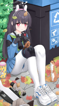 1girl absurdres ahoge animal_ears autumn_leaves bags_under_eyes binoculars bird black_gloves black_hair blue_archive blue_shirt blue_skirt bright_pupils bush closed_mouth commentary fake_animal_ears full_body gloves green_neckerchief gun halo highres holding holding_binoculars knee_pads knees_up leaf leaf_on_head long_hair long_sleeves miyu_(blue_archive) mk_(user_hhny7773) neckerchief on_floor outdoors panties panties_under_pantyhose panty_peek pantyhose pleated_skirt rabbit_ears recycle_bin red_eyes rifle sailor_collar school_uniform scope serafuku shirt shoes sidelocks single_knee_pad sitting skirt sneakers sniper_rifle solo sparrow straight_hair tareme thermos underwear wavy_mouth weapon weasel white_panties white_pantyhose white_pupils white_sailor_collar white_shoes