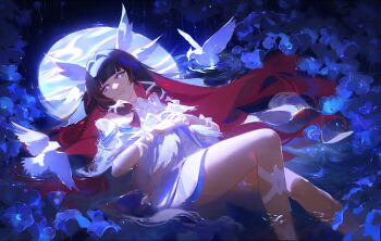 1girl absurdres bare_shoulders black_hair bow closed_mouth columbina_(genshin_impact) commentary dress elodeas english_commentary feathered_wings field flower flower_field genshin_impact head_wings highres in_water long_hair multicolored_hair purple_eyes purple_hair smile solo streaked_hair two-tone_hair very_long_hair white_bow white_dress white_wings wings