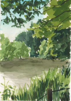 absurdres blue_sky day fence_post forest fumeshi highres nature no_humans original outdoors path pine_tree road rope_fence scenery shadow sky sunlight tree