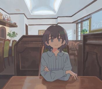 1girl blue_eyes blue_shirt cafe chair closed_mouth collared_shirt commentary crossed_arms day elbows_on_table highres indoors long_sleeves looking_at_viewer medium_hair muji_(uimss) no_sclera on_chair original painting_(object) plant potted_plant puffy_long_sleeves puffy_sleeves reflective_table ribbed_shirt shelf shirt sitting smile solo table unbuttoned_sleeves window wooden_chair wooden_table