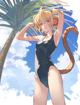 1girl ahoge andira_(granblue_fantasy) animal_ears armpits arms_up ayacho blonde_hair blush breasts cloud cowboy_shot granblue_fantasy hair_bobbles hair_ornament highres hip_bones one-piece_swimsuit palm_tree sky small_breasts solo sweat swimsuit tail tree yellow_eyes