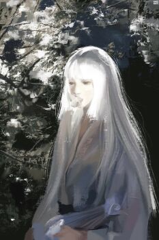 Rule 34 | 1girl, anirrie, art study, black eyes, blunt bangs, branch, commentary, covered mouth, english commentary, highres, original, solo, white hair