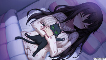Rule 34 | 1girl, animal, animal hug, black hair, blanket, breasts, cat, closed eyes, collarbone, copyright notice, facing viewer, hair between eyes, head on pillow, indoors, kuroki michi, large breasts, long hair, long sleeves, lying, nora to oujo to noraneko heart, official art, on back, on bed, oozora itsuki, parted lips, pillow, sleeping, under covers