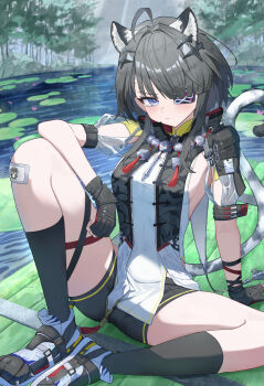 1girl absurdres ahoge animal_ear_fluff animal_ears arknights arknights:_endfield black_gloves black_hair black_socks blue_eyes blush closed_mouth commentary day eyepatch fingerless_gloves full_body gauze gauze_on_knee gloves grey_tail highres jewelry kneehighs knees_apart_feet_together long_hair looking_at_viewer necklace one_eye_covered outdoors river sitting socks solo tail tail_raised tangtang_(arknights) tassel water white_tail zo_(nphm3333)