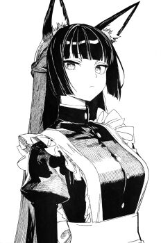 1girl alternate_costume animal_ear_fluff animal_ears black_dress black_hair breasts closed_mouth commentary_request dress enmaided fox_ears fox_girl greyscale hoshimi_miyabi large_breasts long_hair looking_at_viewer maid monochrome sakura_man05 simple_background solo traditional_media upper_body white_background zenless_zone_zero