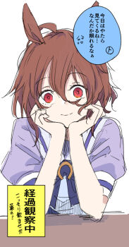 1girl agnes_tachyon_(umamusume) ahoge animal_ears bow bowtie brown_hair closed_mouth elbows_on_table hair_between_eyes hair_ribbon hands_on_own_face head_rest highres horse_ears horse_girl looking_at_viewer puffy_short_sleeves puffy_sleeves purple_bow purple_bowtie purple_shirt red_eyes ribbon sailor_collar school_uniform shirt short_hair short_sleeves simple_background smile solo speech_bubble split_mouth staring t-head_trainer_(umamusume) takamachiya trainer_(umamusume) umamusume white_background white_sailor_collar