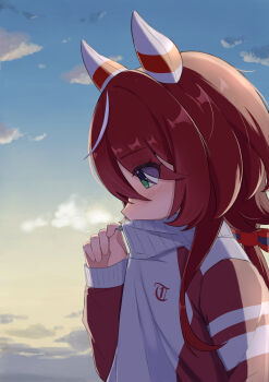 1girl absurdres animal_ears blue_sky blush breath cloud ear_covers from_side green_eyes hair_between_eyes hair_ornament highres horse_ears horse_girl jacket long_hair mugi_mg317 outdoors red_hair red_jacket red_track_suit sky solo tracen_training_uniform track_jacket track_suit twintails umamusume upper_body win_variation_(umamusume)