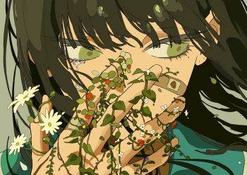 Rule 34 | 1girl, aqua sailor collar, bandaid, bandaid on cheek, bandaid on face, bandaid on finger, bandaid on hand, brown hair, commentary request, flower, green eyes, highres, ligne claire, looking to the side, original, portrait, red flower, sailor collar, solo, tsukii (t s u k i i), white flower