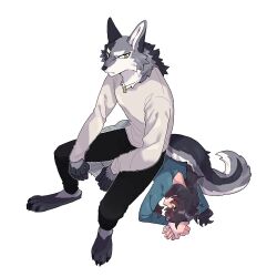 Rule 34 | 1boy, 1girl, all fours, animal ears, animal feet, black pants, blue shirt, blush, body fur, closed mouth, commentary request, dog tags, full body, furry, furry male, grey eyes, grey fur, highres, human chair, human furniture, long sleeves, looking at viewer, original, pants, rata (norahasu), shirt, simple background, sitting, sitting on person, tail, white background, white fur, white shirt, wolf boy, wolf ears, wolf tail