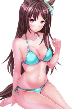 Rule 34 | 1girl, absurdres, alternate costume, animal ears, aqua bikini, arm support, bikini, blush, breasts, brown hair, brown tail, cleavage, closed mouth, commentary request, ear ornament, hagesan3345, hand up, highres, horse ears, horse girl, horse tail, long hair, looking at viewer, medium breasts, mejiro dober (umamusume), navel, partial commentary, purple eyes, side-tie bikini bottom, simple background, sitting, solo, swimsuit, tail, thighs, umamusume, white background
