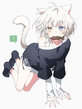 Rule 34 | 1girl, ?, animal ears, bang dream!, bang dream! it's mygo!!!!!, black shirt, black shoes, blue eyes, cat ears, cat girl, cat tail, commentary, cookie, diml1ght, food, heterochromia, highres, kaname raana, layered sleeves, long sleeves, looking at viewer, mouth hold, raana the cat, shirt, shoes, short hair, short over long sleeves, short sleeves, simple background, solo, tail, white background, white hair, white shirt, yellow eyes