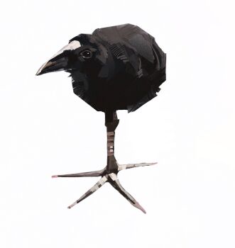 animal_focus baby_animal beak bird black_eyes chick damn!_(meme) highres junbuug large_feet meme no_humans original pukeko simple_background standing standing_on_one_leg white_background