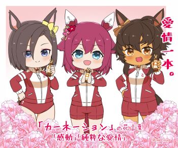 3girls :d air_groove_(umamusume) animal_ears bitter_glasse_(umamusume) blue_eyes blush brown_hair buruma capriccyo commentary_request dark-skinned_female dark_skin flower gradient_background gym_shirt gym_shorts gym_uniform hair_between_eyes highres holding horse_ears horse_girl horse_tail jacket long_sleeves multiple_girls open_mouth orange_eyes pink_background pink_flower purple_hair red_buruma red_jacket red_shorts sakura_chiyono_o_(umamusume) shirt shorts smile standing tail track_jacket translation_request umamusume white_background