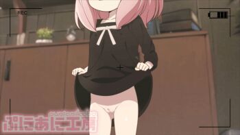 1girl animated animated_gif anya_(spy_x_family) blush cleft_of_venus female_focus grin joutarou_(punianikobo) lifting_own_clothes loli looking_at_viewer medium_hair no_panties pink_hair pussy recording smile solo spy_x_family standing