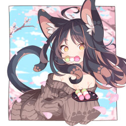Rule 34 | 1girl, ahoge, animal ear fluff, animal ears, bare shoulders, black hair, blue sky, blurry, blurry background, branch, brown eyes, brown hair, brown sweater, cat ears, cat girl, cat tail, cloud, commentary, daidai ookami, dango, day, depth of field, flower, food, food in mouth, highres, long hair, long sleeves, looking at viewer, mouth hold, multicolored hair, off-shoulder sweater, off shoulder, original, pink flower, ribbed sweater, sanshoku dango, sky, sleeves past fingers, sleeves past wrists, solo, streaked hair, sweater, tail, wagashi