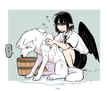 animal animalization bathing black_hair black_skirt black_wings bucket bucket_of_water collared_shirt feathered_wings grey_background highres holding holding_animal inubashiri_momiji inubashiri_momiji_(wolf) looking_at_another min.k pointy_ears puffy_short_sleeves puffy_sleeves red_eyes shameimaru_aya sharp_teeth shirt short_hair short_sleeves simple_background sitting skirt soap_bubbles teeth touhou water wet white_fur white_shirt wings wolf wolf_paws wooden_bucket