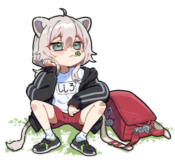 1girl aged_down ahoge alternate_costume alternate_hairstyle animal_ears backpack bag bag_charm bandaid bandaid_on_knee bandaid_on_leg black_shoes character_charm charm_(object) clover commentary_request double-parted_bangs grass grey_eyes grey_hair gym_uniform hair_between_eyes hand_on_own_cheek hand_on_own_face head_rest highres hololive knees_apart_feet_together lion_ears lion_girl lion_tail looking_afar low_twintails medium_hair minatasiro mouth_hold name_tag on_grass randoseru red_bag red_shorts shirt shishiro_botan shoes short_twintails shorts sitting sneakers socks solo stalk_in_mouth tail twintails two_side_up unworn_backpack unworn_bag virtual_youtuber white_shirt white_socks