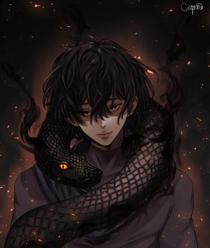 Rule 34 | 1boy, absurdres, aegyo sal, black eyes, black hair, black shirt, catphine, embers, glowing, glowing eyes, head tilt, highres, looking at viewer, male focus, shadow slave, shirt, short hair, smirk, snake, snake wrapped around neck, solo, sunny (shadow slave), textless version, upper body