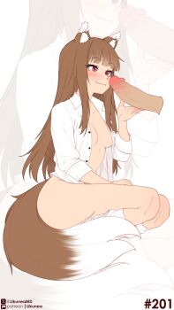 1boy 1girl absurdres animal_ears blush breasts brown_hair commentary disembodied_penis dress_shirt english_commentary fang hetero highres holo imminent_fellatio likunea long_hair nude open_clothes open_shirt patreon_logo patreon_username penis red_eyes seiza shirt simple_background sitting solo solo_focus spice_and_wolf tail twitter_username twitter_x_logo uncensored white_shirt wolf_ears wolf_girl wolf_tail zoom_layer