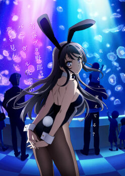 10s 3girls 4boys animal_ears aquarium arms_behind_back ass black_hair black_leotard black_neckwear bow bowtie brown_legwear checkered_floor detached_collar fake_animal_ears feet_out_of_frame from_behind hair_ornament hairclip highres jellyfish key_visual leotard long_hair looking_at_viewer looking_back multiple_boys multiple_girls official_art pantyhose playboy_bunny promotional_art purple_eyes rabbit_ears rabbit_tail sakurajima_mai seishun_buta_yarou solo_focus strapless strapless_leotard tail tamura_satomi translation_request wrist_cuffs