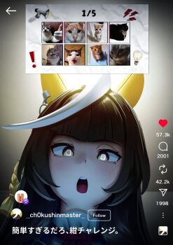 1girl absurdres animal_ears black_hair blunt_bangs blush calstone_light_o_(umamusume) cat commentary ear_covers highres horse_ears horse_girl long_hair manjo_(warito) meme necktie open_mouth red_necktie symbol-only_commentary umamusume yellow_eyes