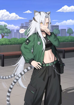 1girl abs absurdres afterimage animal_ears arknights bag baggy_pants bench black_nails black_pants black_sports_bra blue_sky blush cityscape cloud cloudy_sky commentary commission cowboy_shot day facial_scar green_jacket grey_hair hand_on_own_chin highres indra_(arknights) jacket kimsuwan2013 long_hair looking_at_viewer midriff navel open_clothes open_jacket outdoors pants pin pixiv_commission scar scar_on_cheek scar_on_face scar_on_nose shadow shoulder_bag sky solo spoken_blush sports_bra tail tail_wagging tiger_ears tiger_girl tiger_tail toned toned_female tree very_long_hair yellow_eyes