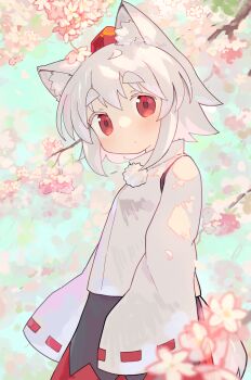 1girl animal_ear_fluff animal_ears black_skirt blurry blurry_foreground branch cherry_blossoms closed_mouth commentary_request cowboy_shot depth_of_field detached_sleeves dot_mouth hat head_tilt highres inubashiri_momiji kibisake long_sleeves looking_at_viewer multicolored_skirt outdoors pom_pom_(clothes) red_eyes red_hat red_ribbon red_skirt revision ribbon ribbon-trimmed_sleeves ribbon_trim shirt short_hair skirt sleeveless sleeveless_shirt solo tail thick_eyebrows tokin_hat touhou tree white_hair white_shirt wide_sleeves wolf_ears wolf_girl wolf_tail