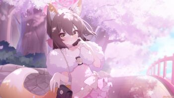 Rule 34 | 1girl, absurdres, animal ears, blue archive, cherry blossoms, commentary, dress, exusiai dust, fox ears, fox girl, fox tail, halo, highres, izuna (blue archive), izuna (dress) (blue archive), official alternate costume, pink dress, pink halo, solo, tail