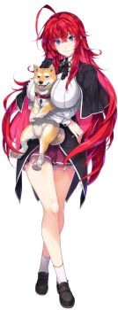 1girl ahoge animal animal_between_breasts animal_hug artist_request black_ribbon black_shoes blue_eyes breasts closed_mouth collar dog full_body hair_between_eyes high_school_dxd highres holding holding_animal holding_dog large_breasts loafers long_hair looking_at_viewer neck_ribbon red_collar red_hair rias_gremory ribbon second-party_source shiba_inu shoes simple_background smile socks solo standing thighs very_long_hair white_background white_socks