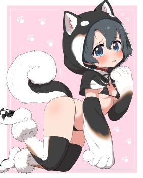 1girl absurdres alternate_costume animal_ear_fluff animal_hands animal_hood animal_print bikini black_bikini blue_eyes blush breasts capelet collar commentary dog_hood dog_tail elbow_gloves fur-trimmed_shoes gloves highres hood hooded_capelet hoodie kaban_(kemono_friends) kemono_friends looking_at_viewer micro_bikini paw_gloves paw_shoes pink_background print_gloves print_hoodie print_thighhighs ransusan red_collar shoes simple_background skindentation small_breasts solo string_bikini swimsuit tail thighhighs white_shoes