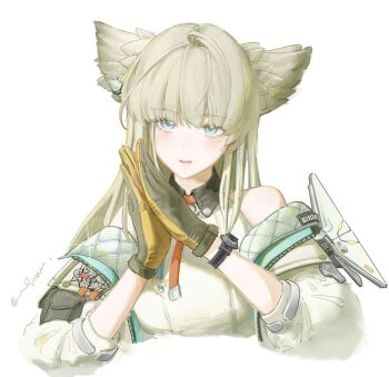 Rule 34 | 1girl, animal ears, aqua eyes, arknights, arknights: endfield, bird ears, cropped torso, grey hair, highres, light blush, long hair, looking at viewer, off shoulder, parted lips, perlica (arknights), signature, simple background, solo, two-sided gloves, watch, white background, wristwatch, yiuo toyi
