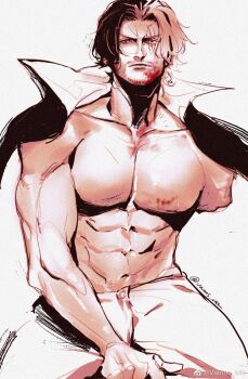 1boy abs amputee bara beard blood blood_on_face closed_mouth connected_beard facial_hair high_collar highres large_pectorals looking_at_viewer male_focus monochrome one_piece pants pectorals scar scar_across_eye scar_on_face shanks_(one_piece) short_hair solo topless_male vamos_mk