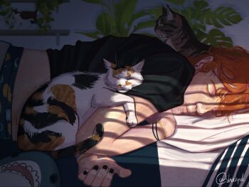 Rule 34 | 1boy, animal, black shirt, boxers, bracelet, brown cat, calico (pattern), calico cat, cat, closed mouth, colored eyelashes, commentary, dispatch, earrings, english commentary, highres, ikea shark, indoors, jewelry, male focus, male underwear, midriff, orange hair, piercing, pillow, plant, potted plant, shelf, shirt, short hair, shubyck, sleeping, solo, stud earrings, stuffed animal, stuffed shark, stuffed toy, tabby cat, twitter username, underwear, waterboy (dispatch)