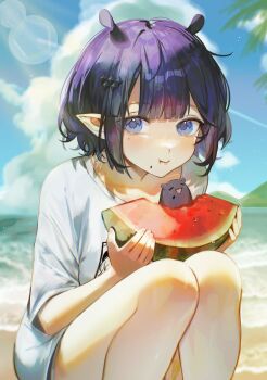1girl absurdres ani_019 beach blue_eyes closed_mouth commentary day eating food fruit highres hololive hololive_english ninomae_ina&#039;nis ninomae_ina&#039;nis_(loungewear) ocean official_alternate_costume outdoors pointy_ears purple_hair sand shirt squatting takodachi_(ninomae_ina&#039;nis) tentacle_hair virtual_youtuber watermelon watermelon_seeds watermelon_slice white_shirt