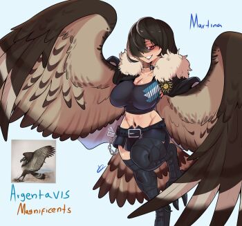 1girl a.c._hunter absurdres belt belt_buckle bird_legs bird_tail black_hair black_shirt black_shorts breasts brown_feathers brown_wings buckle character_name cleavage commentary creature_and_personification crop_top english_commentary feathered_wings feathers fur_trim hair_over_one_eye harpy highres large_breasts long_hair looking_at_viewer midriff monster_girl navel original personification red_eyes shirt shorts simple_background solo standing standing_on_one_leg tail wallet_chain winged_arms wings