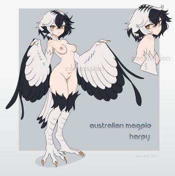 1girl absurdres animal_ears bird_ears bird_legs black_hair black_wings claws commentary commission crossed_bangs english_commentary feathers grey_background harpy highres monster_girl multicolored_hair multiple_girls navel nipples nude orange_eyes original pussy short_hair slit_pupils standing talons twitter_username two-tone_background two-tone_hair two-tone_wings uncensored unreal_fish white_feathers white_hair white_wings wings
